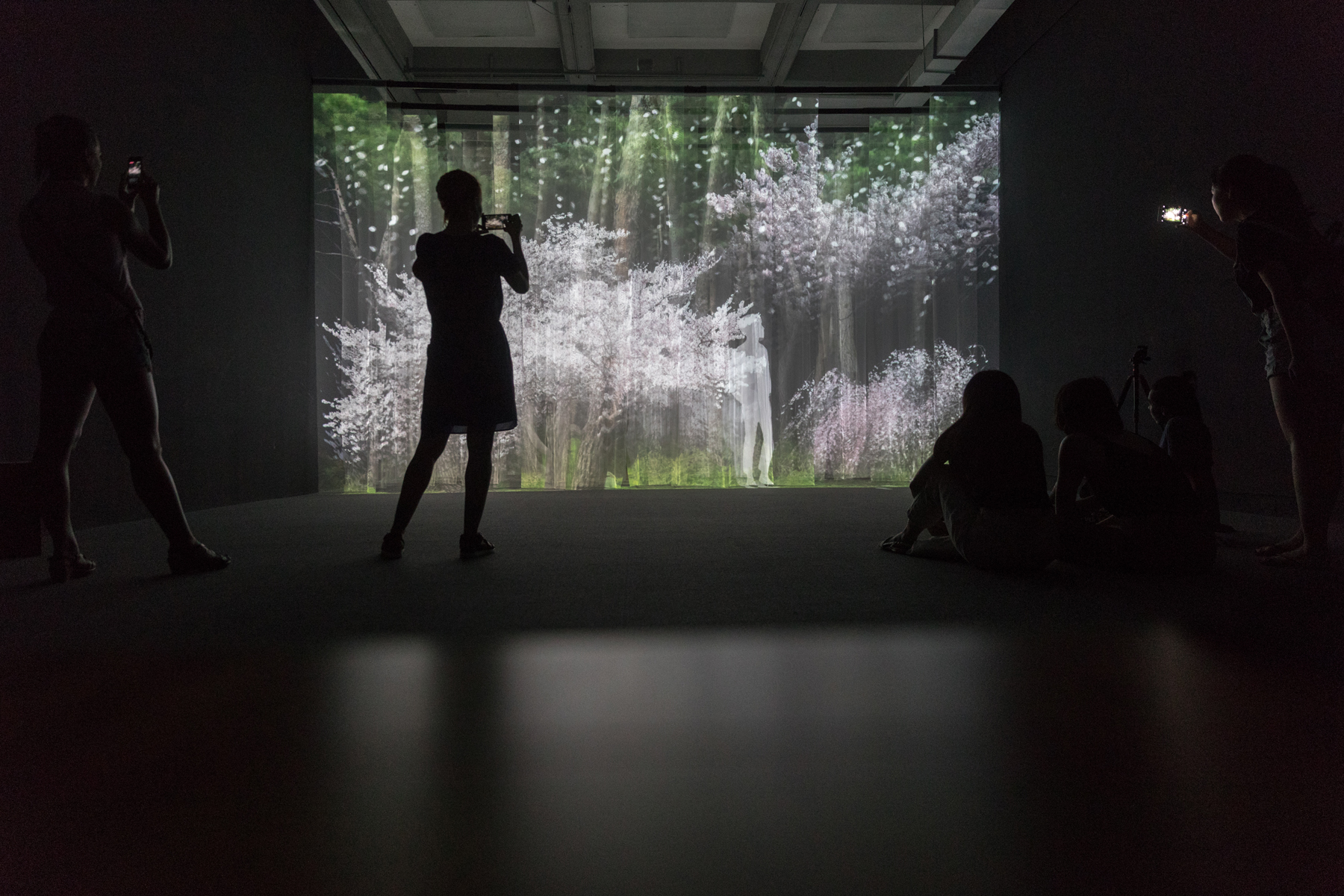 Sang-hwa Park  | Mudeung Fantasia 2 Video installation, 2017 430 × 700 × 400 cm 的圖說