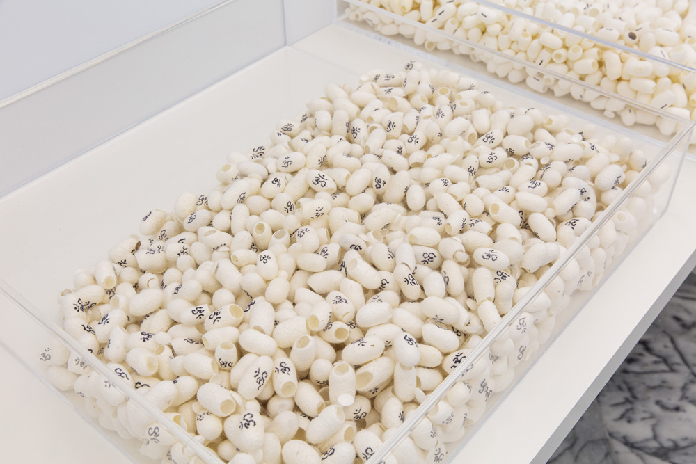Cam Xanh  | In the Beginning Was the Word  plexiglass box containing 5000-6000 silk cocoons, 2020-2021 60×60×15cm © Cam Xanh 的圖說