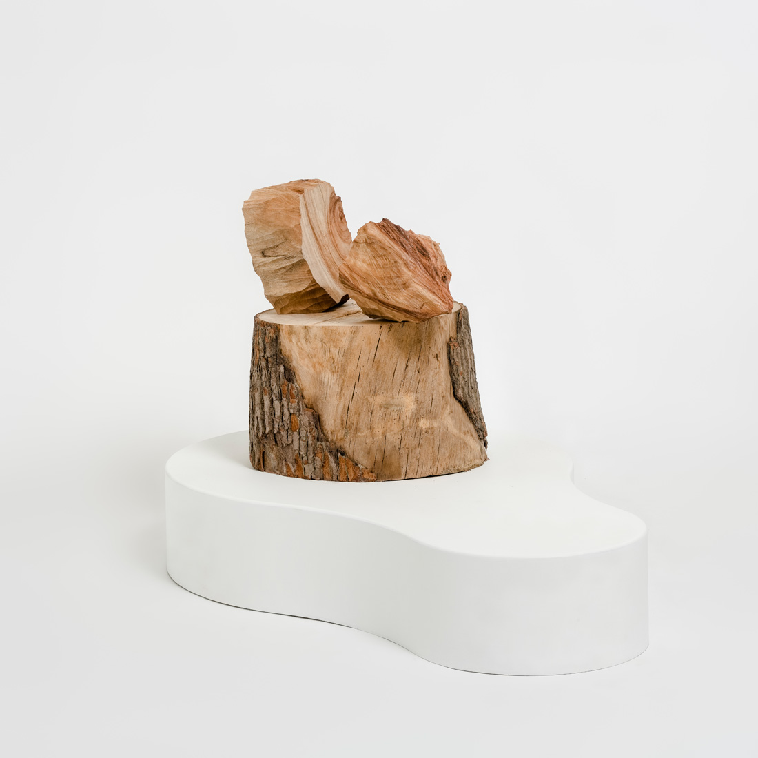 Tai-Chun Chou  | Meditation Section I camphor wood, wood pedestal, 2020 98×60×55 cm  Courtesy of the Artist 的圖說