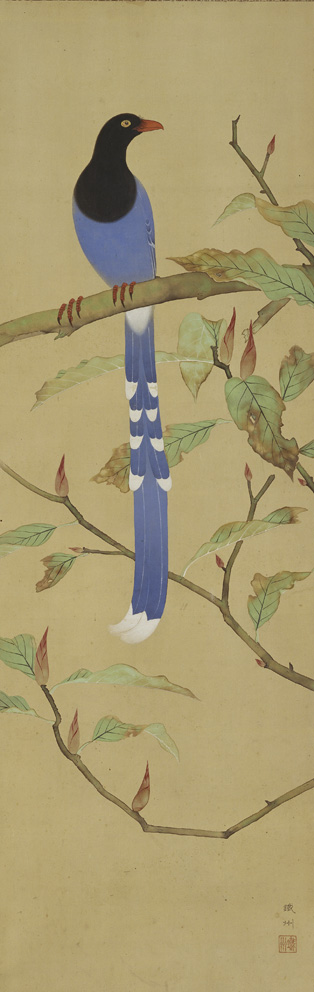 台灣藍鵲 ，1942前  | 呂鐵州   膠彩、絹，128x41cm 的圖說