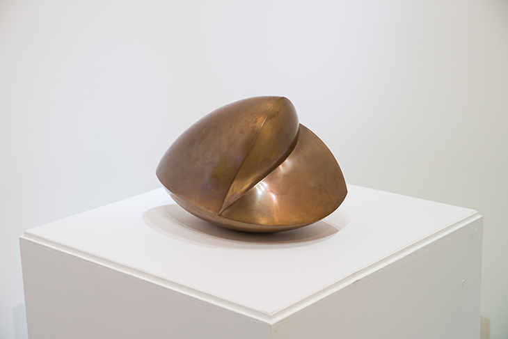 汉斯阿尔普   《打哈欠的贝壳》