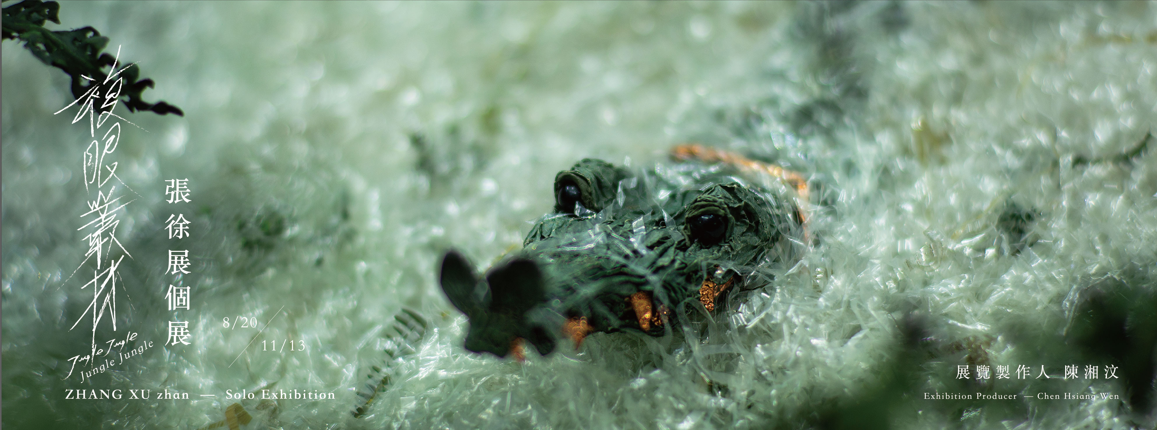 Jungle Jungle — ZHANG XU zhan Solo Exhibition Main Visual